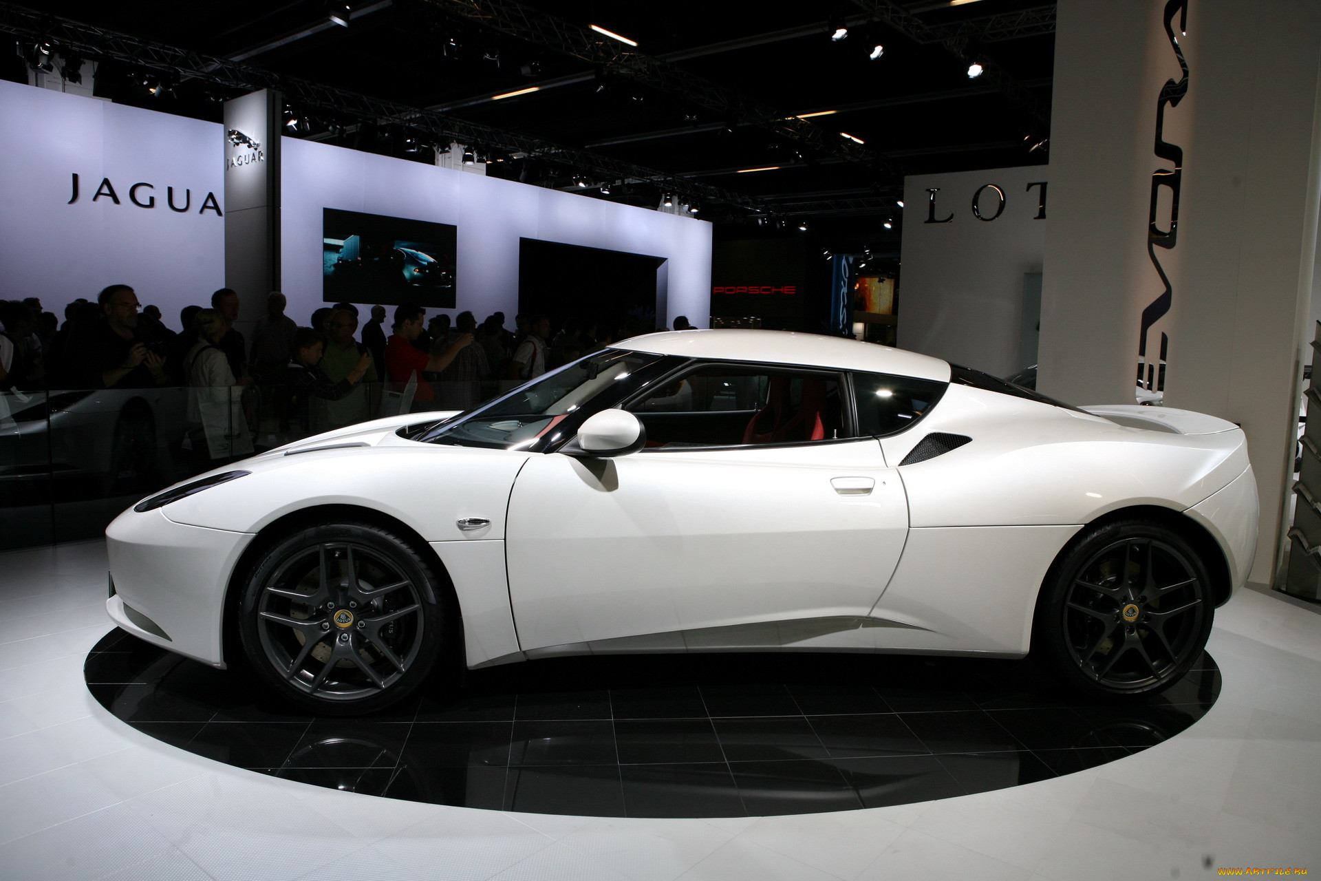 ,    , lotus